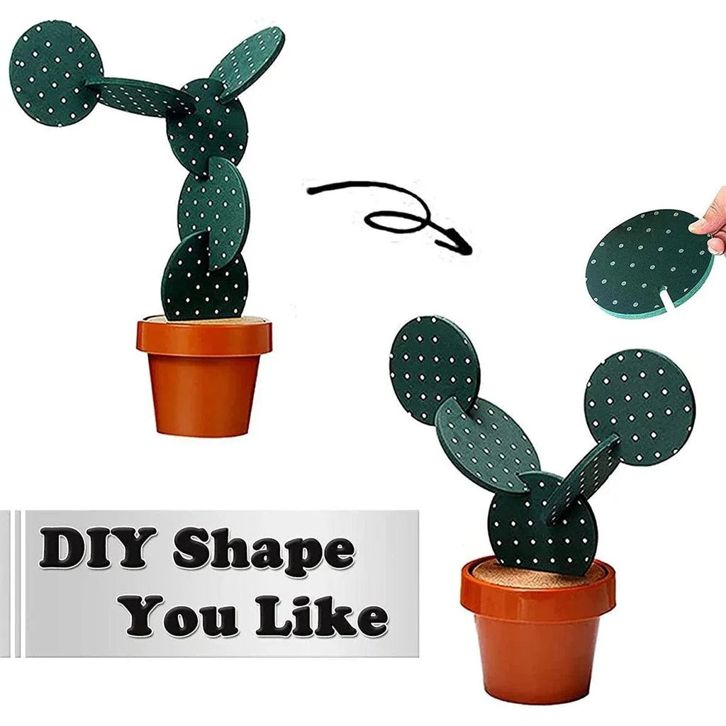 DIY Cactus Coaster Set with Pot