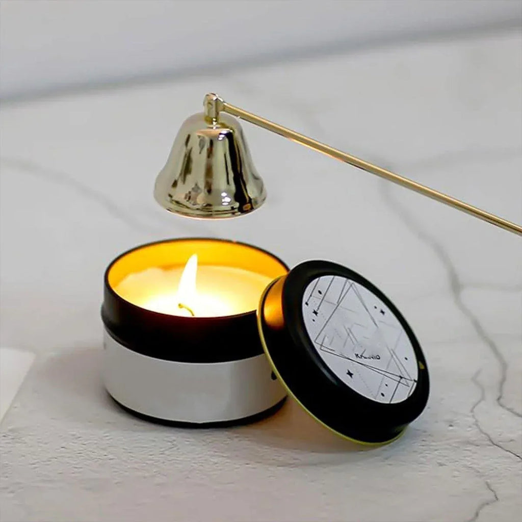 Stainless Steel Candle Snuffer with Long Handle, 22.5 cm