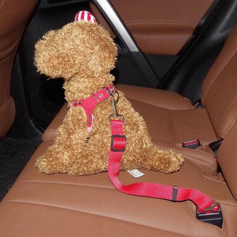 2X Adjustable Pet Travel Lead Clips with Car Buckle