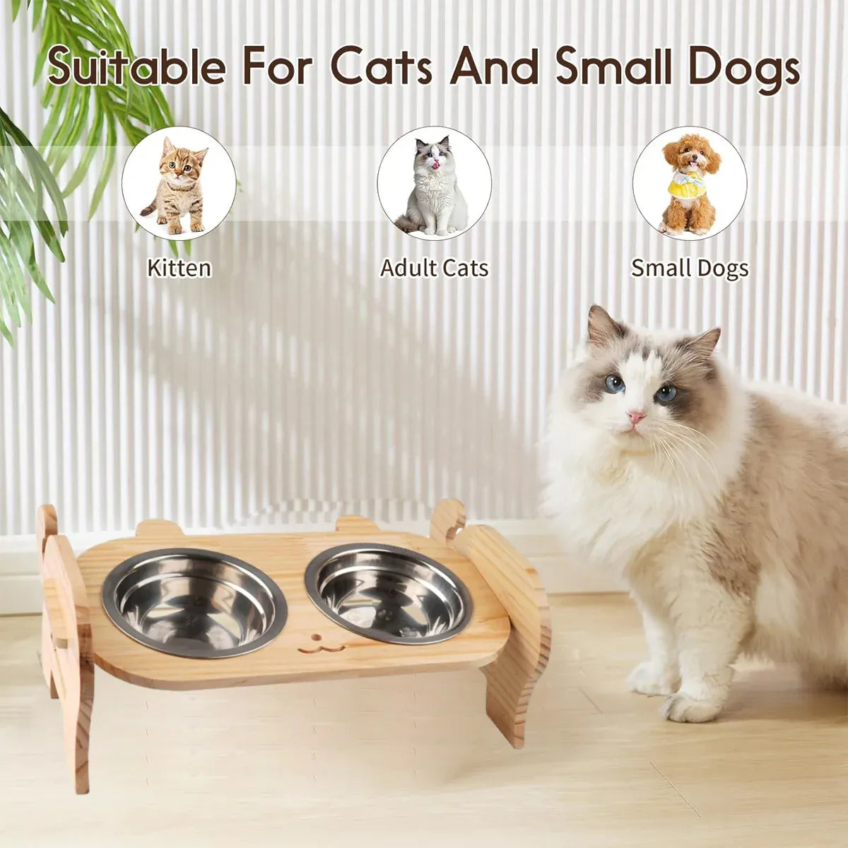 Pet Bowl Anti Tip Double Bowl Pet Food Water Bowl For Home Daily Use