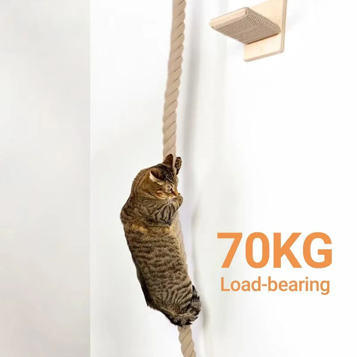 Cat Climbing Frame Rope Leash Jumping Platform