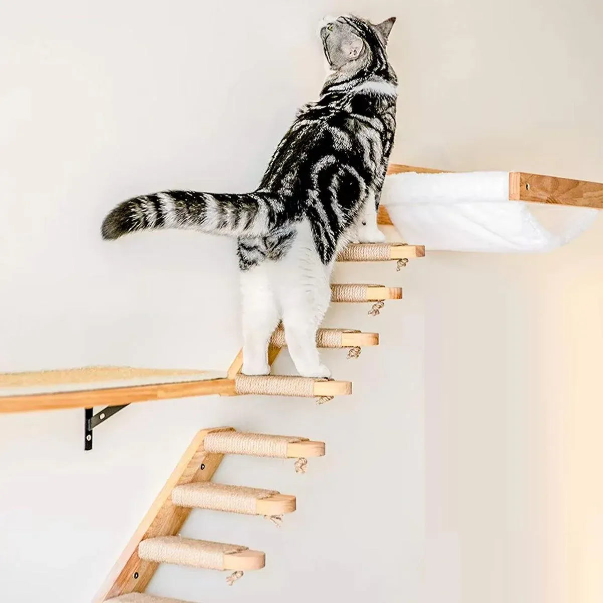 1-Piece Wall-Mounted Cat Climbing Shelf