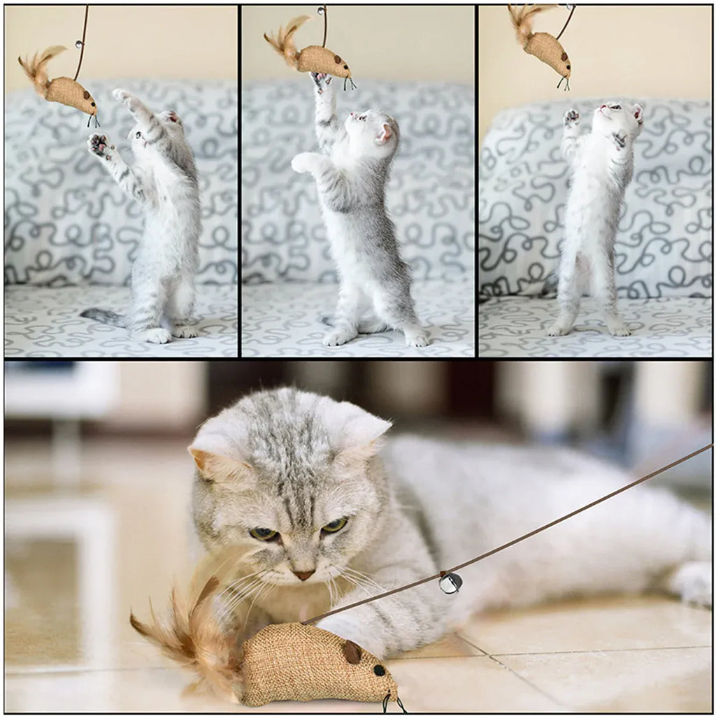 Cat Toys Set 7PCS Interactive Kitten Toys Durable
