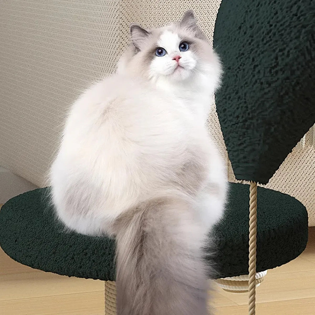 Cat Scratching Post Toy Turntable Climbing Frame Board Interactive