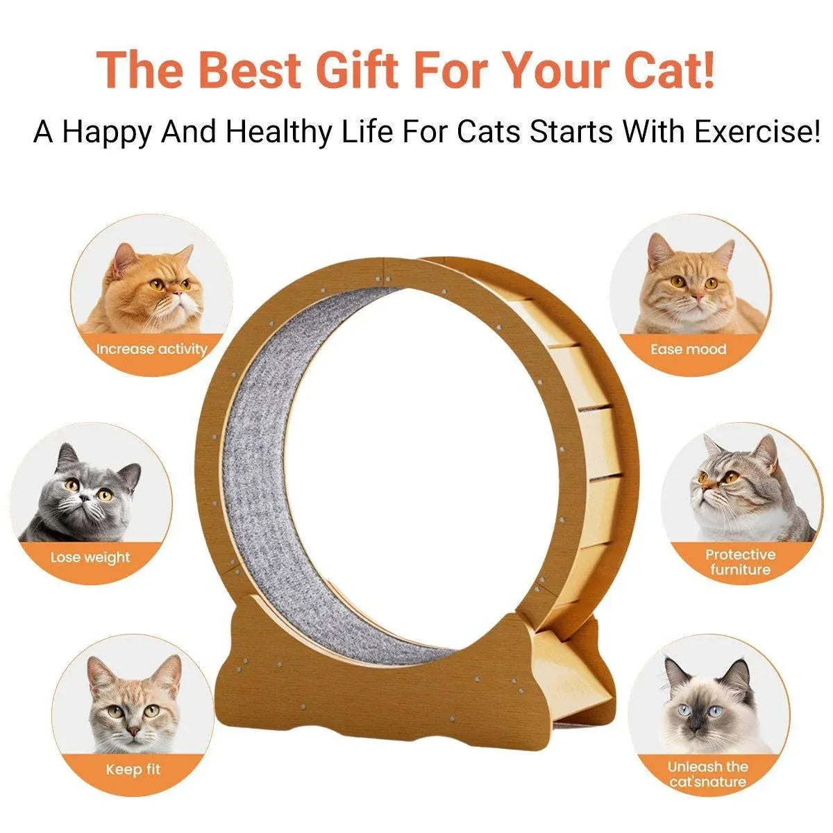 Cat Exercise Wheel Toy Furniture Running Treadmill Exerciser