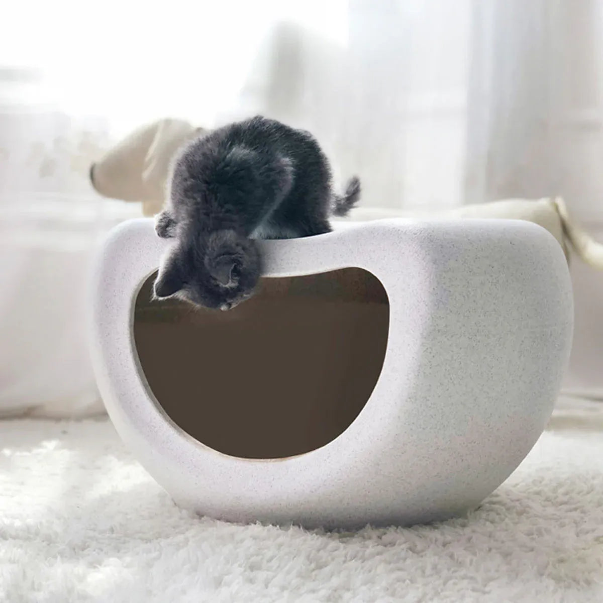 Plastic Pet Nest for Cats Small Dogs Waterproof Detachable Easy