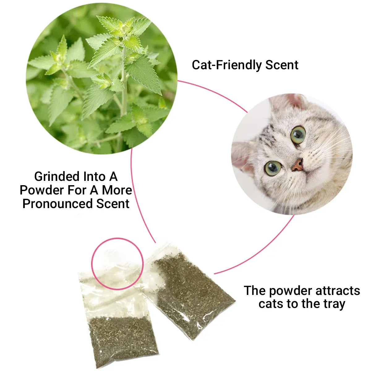 Cat Scratching Post Pad 2 in 1 PP Blanket Non Slip Indoor Kitten 38 x
