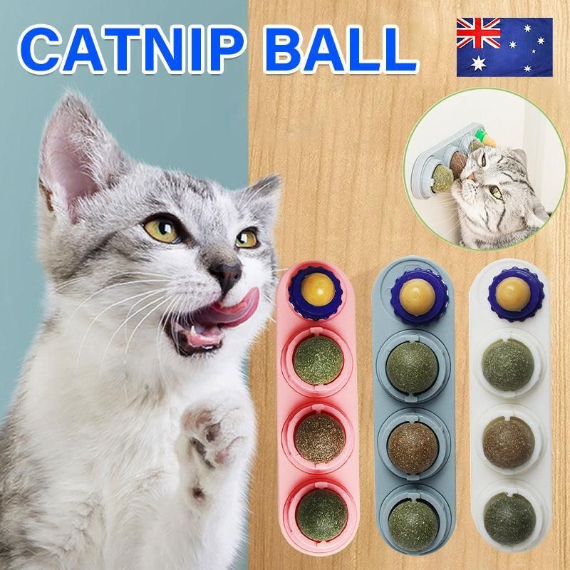 Cat Toy Catnip Ball Lick Solid Nutrition Help Digestion Wall Mount