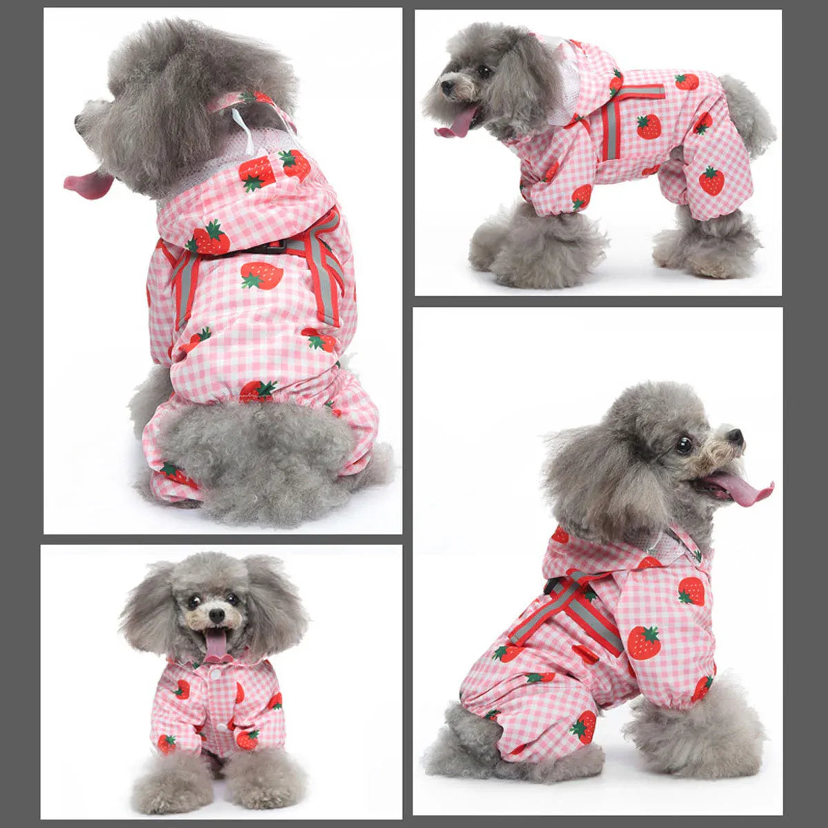 Strawberry Checkered Cat Raincoat Outdoor Rainy Days Dog Raincoat