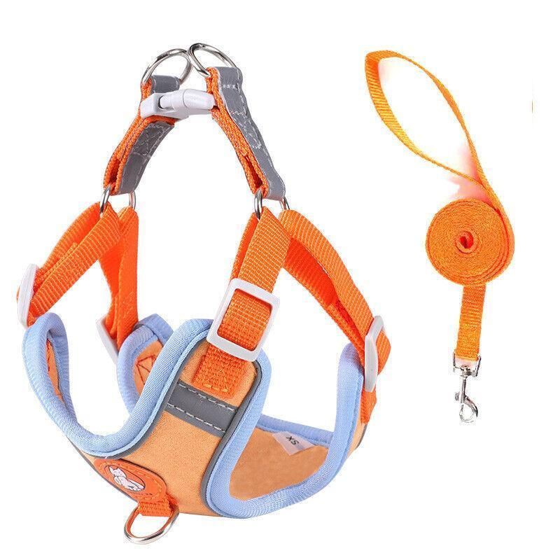 Dog Harness Cat Lead Puppy Leash Vest Mesh Breathe Adjustable Braces
