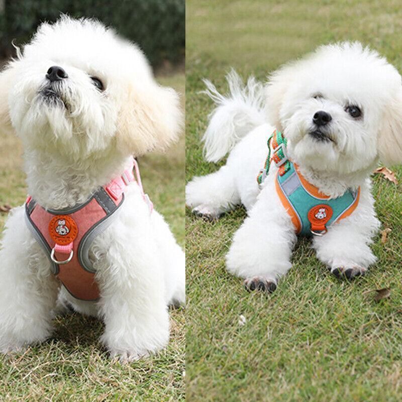 Dog Harness Cat Lead Puppy Leash Vest Mesh Breathe Adjustable Braces