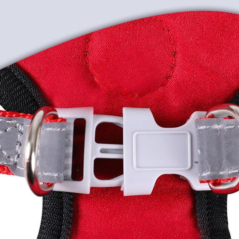 Dog Harness Cat Lead Puppy Leash Vest Mesh Breathe Adjustable Braces