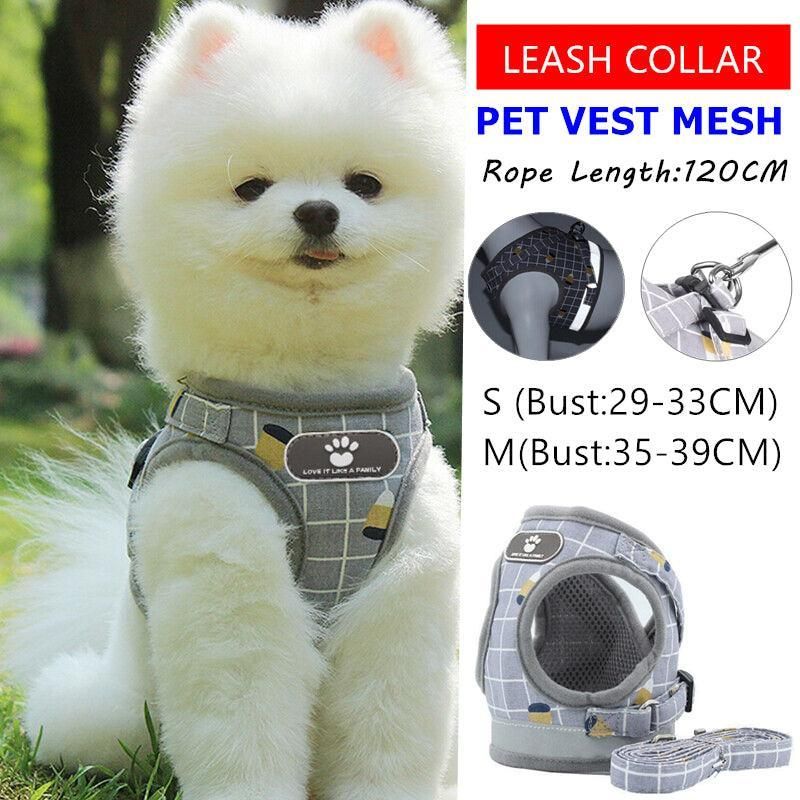 Grey Kitten Dog Cat Walking Harness Lead Leash Collar Pet Vest Mesh