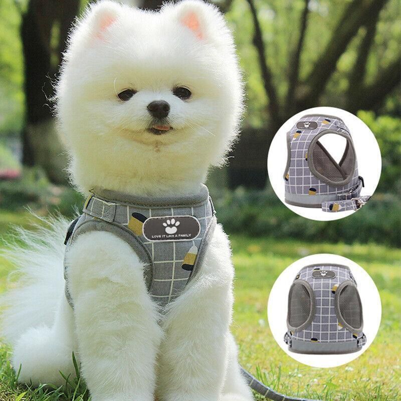 Grey Kitten Dog Cat Walking Harness Lead Leash Collar Pet Vest Mesh