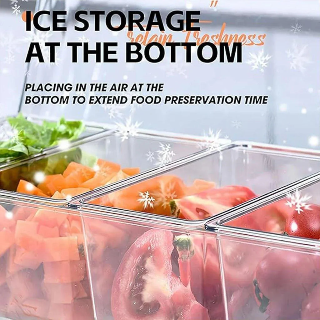 Outdoor Picnic Ice Box Split Salad Plate Fresh-keeping Food