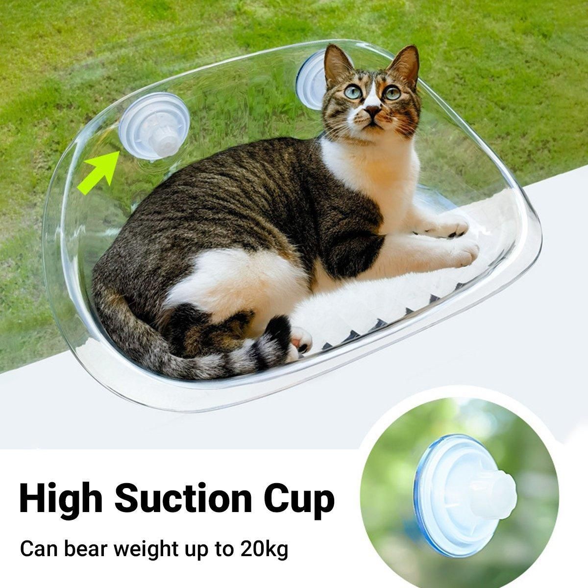 Cat Hammock Bed Glass Hanging Basket Clear Pet Nest Elevated Sleeping