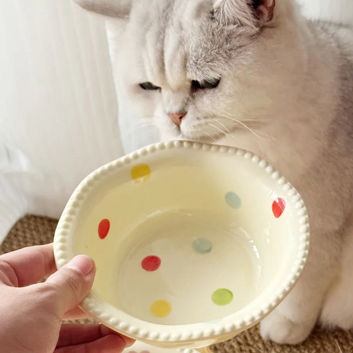 Ceramic Pet Food Bowl with Wooden Base Non Slip