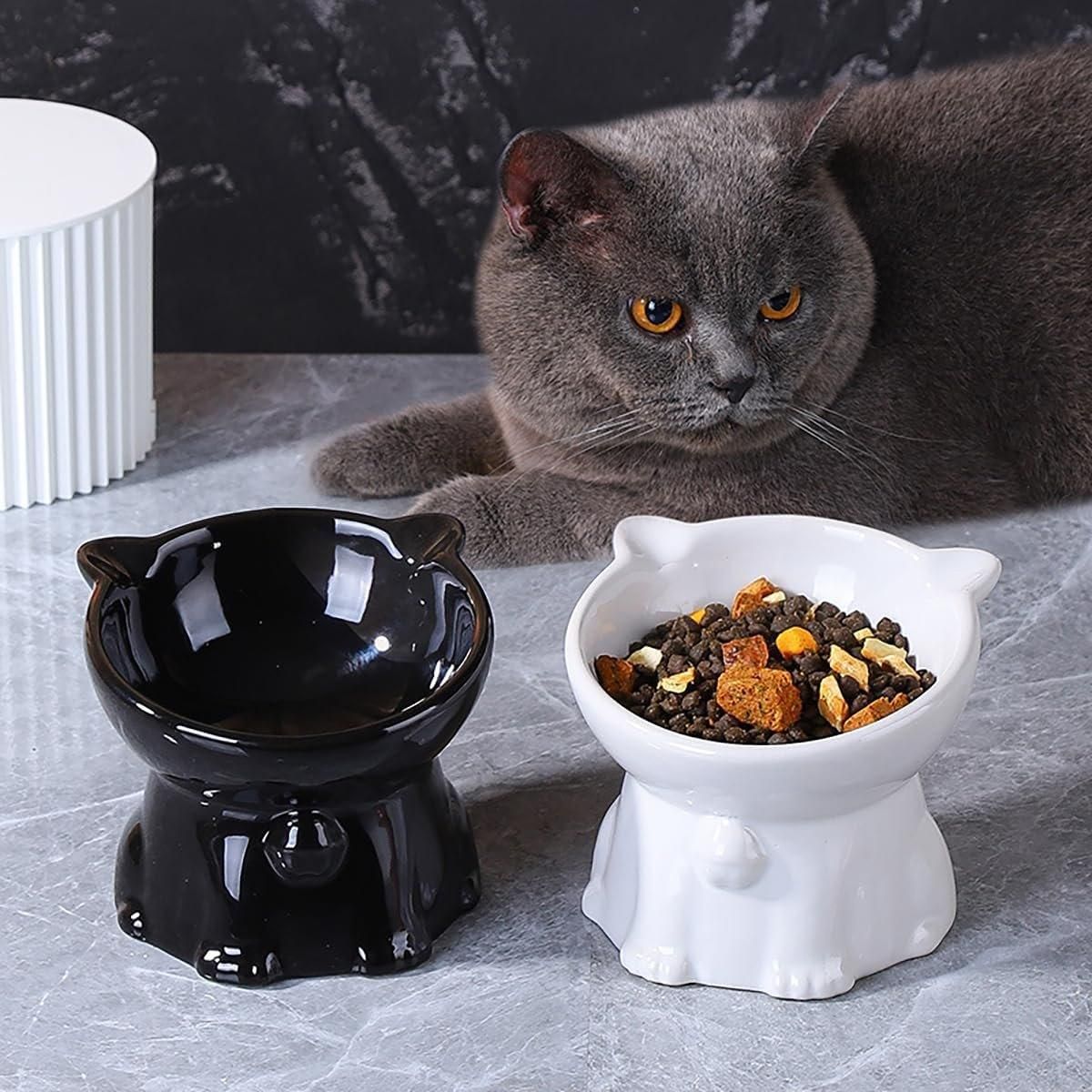 Ceramic Cat Bowl Cute Tall Raised Cat Food Bowl for Pets Eating