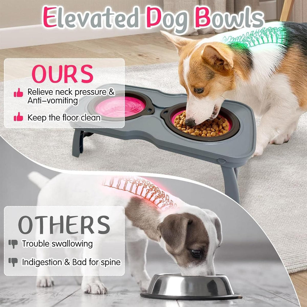 Portable Pet Water and Food Bowl