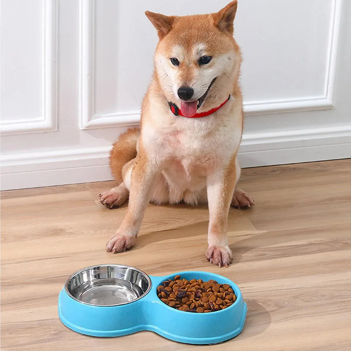 Dog Slow Feeder Double Bowl Pet Food and Water Dish