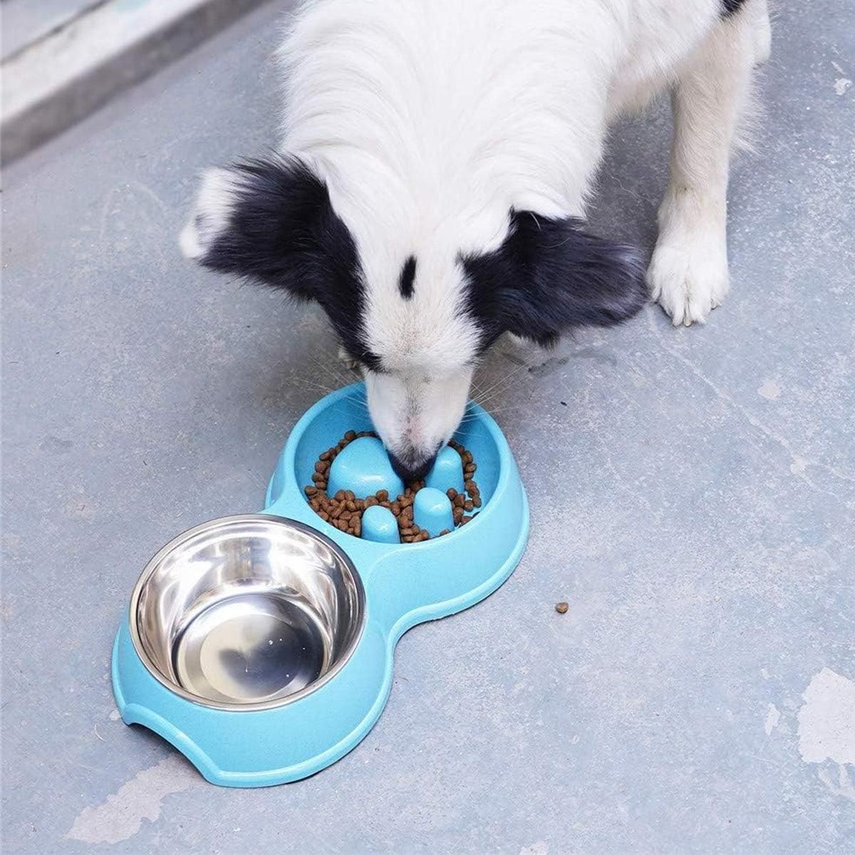 Dog Slow Feeder Double Bowl Pet Food and Water Dish