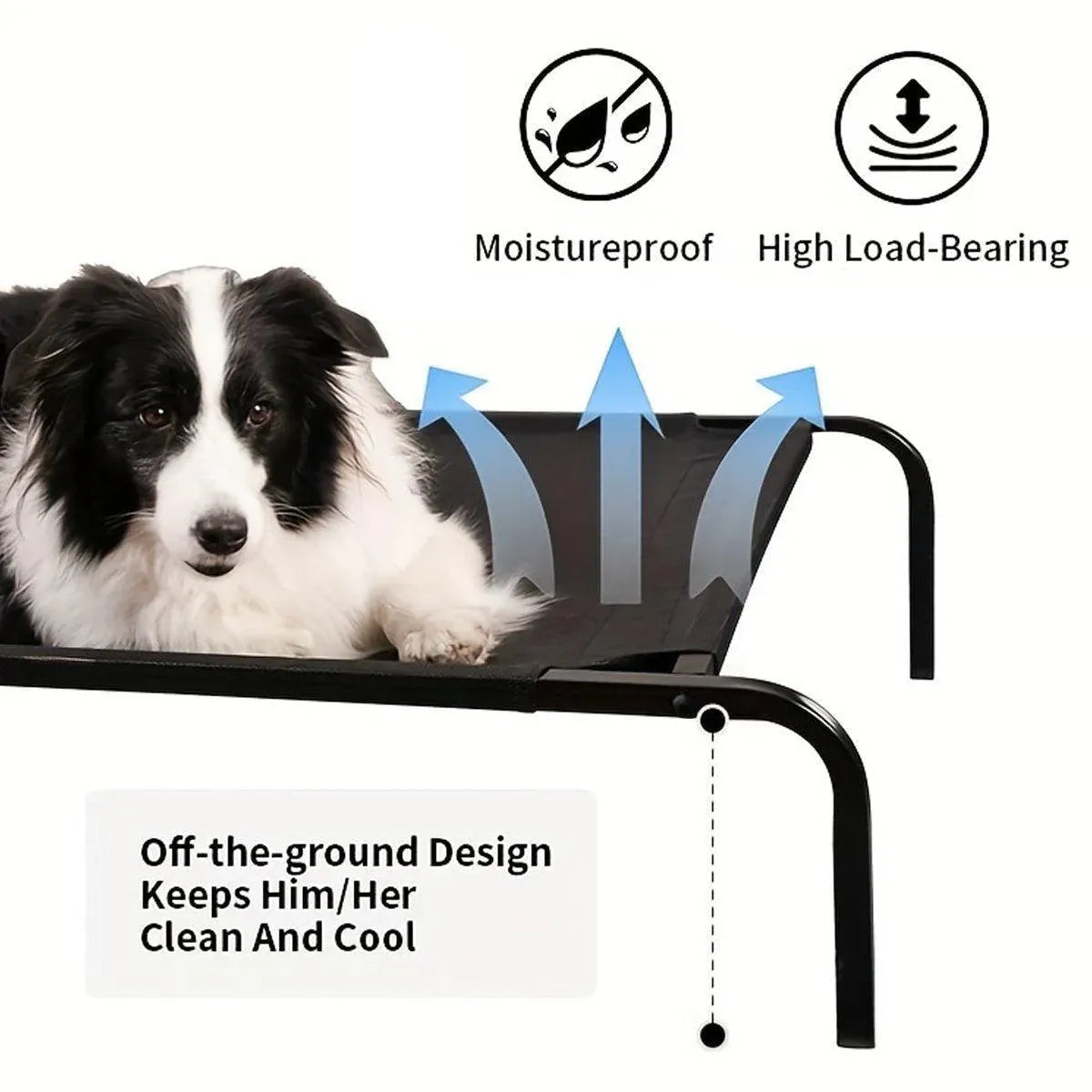 Heavy Duty Pet Raised Bed Elevated Trampoline Hammock Cat Dog Raised