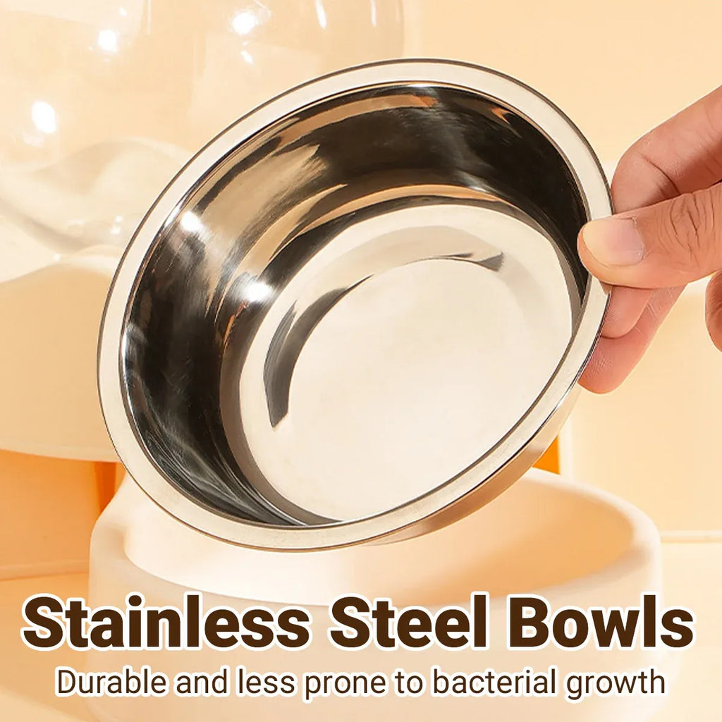 Cat and Small Dog Feeding and Water Station