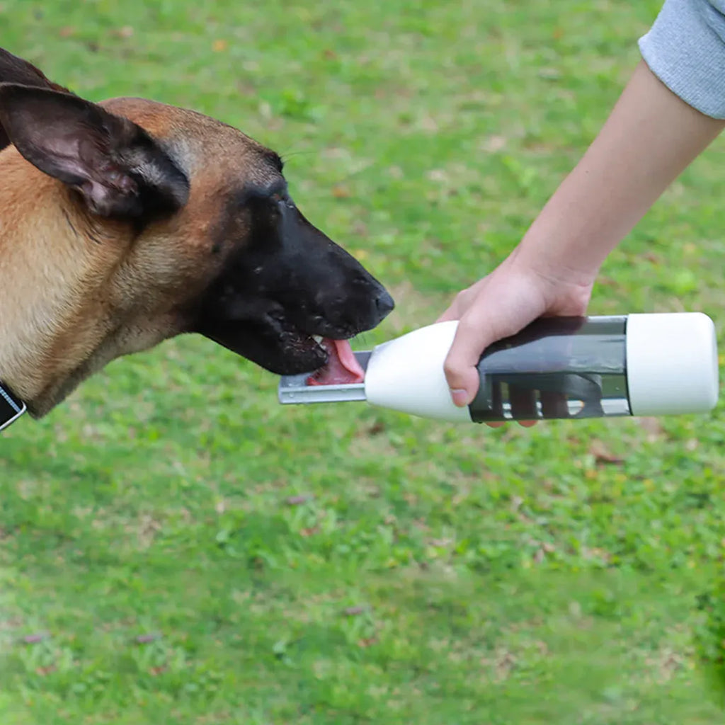 Pet Water Bottle Leakproof 350ml