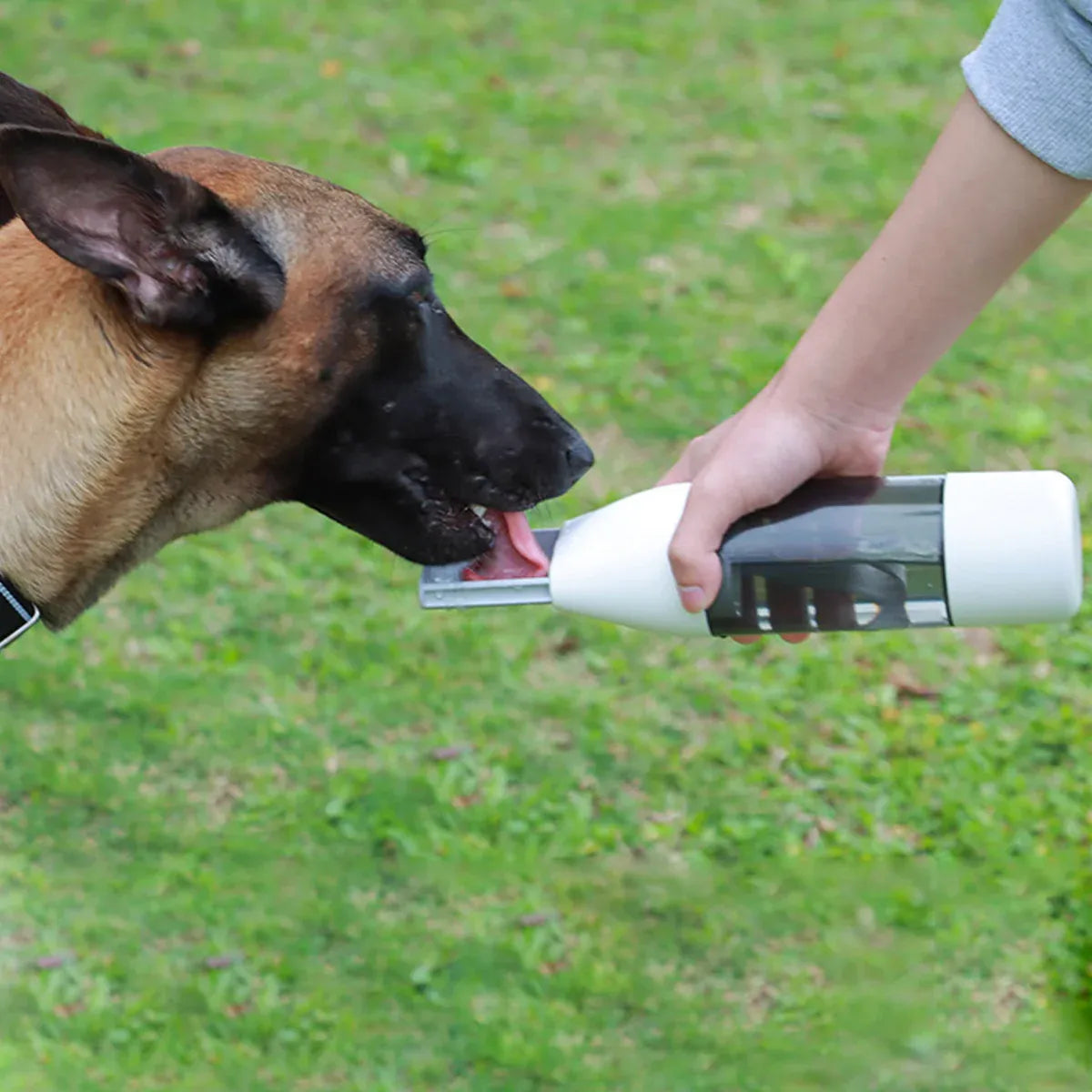 Pet Water Bottle Leakproof 350ml