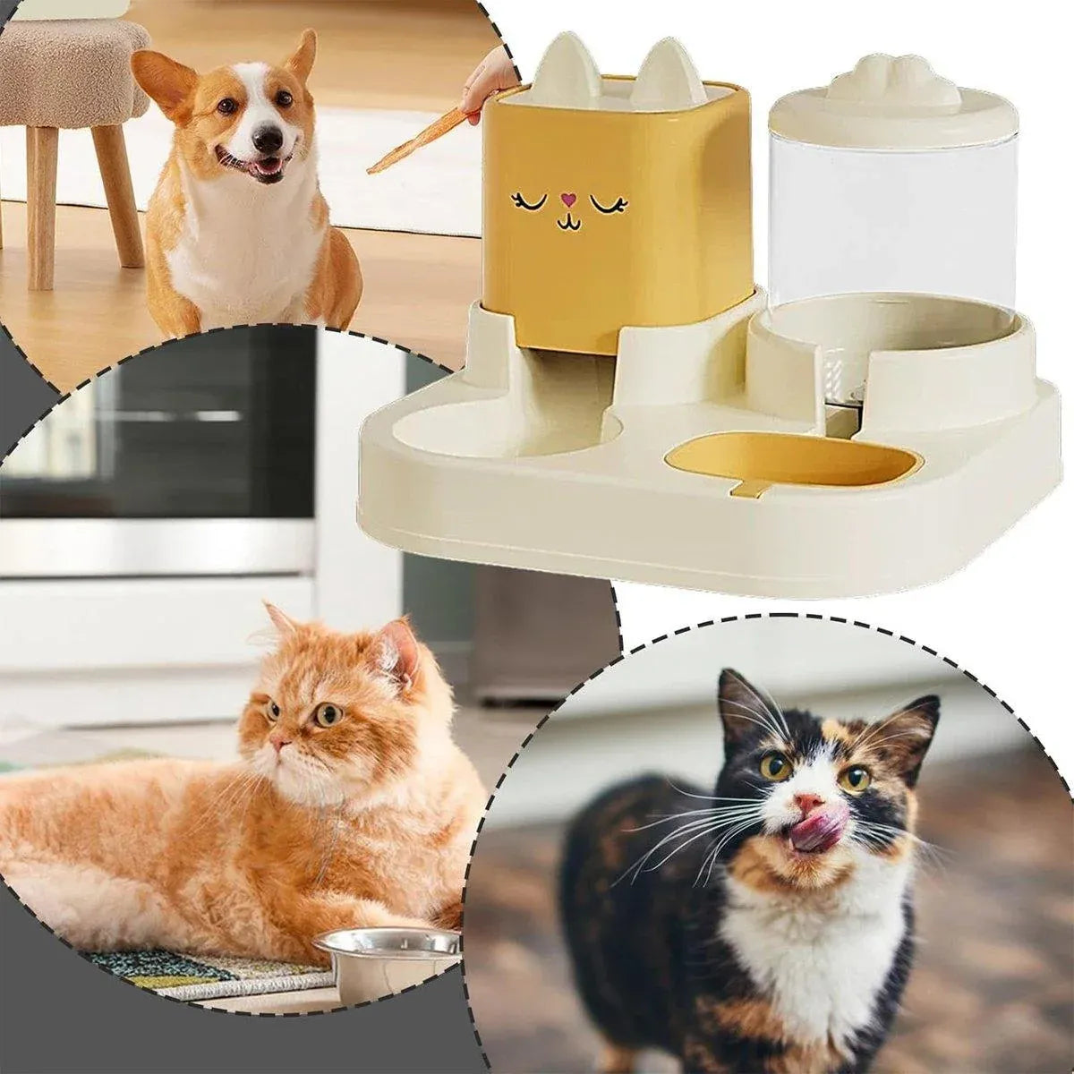 Pet Cartoon Feeding Bowl Universal Water Feeder Cat Dog Food Dish