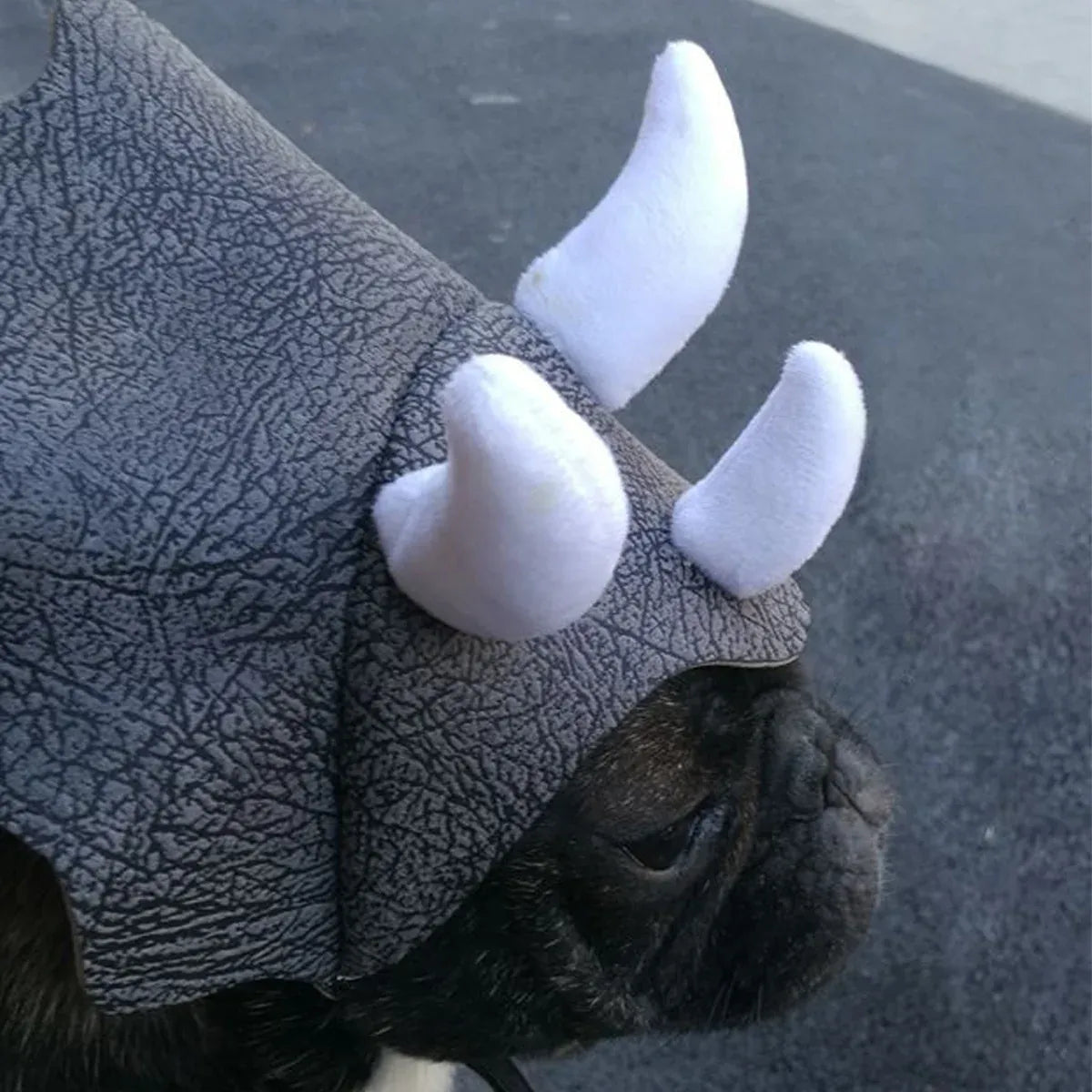 Triceratops Pet Costume Hat with 3D Horns, with its measurements marked, photo 6 of 6