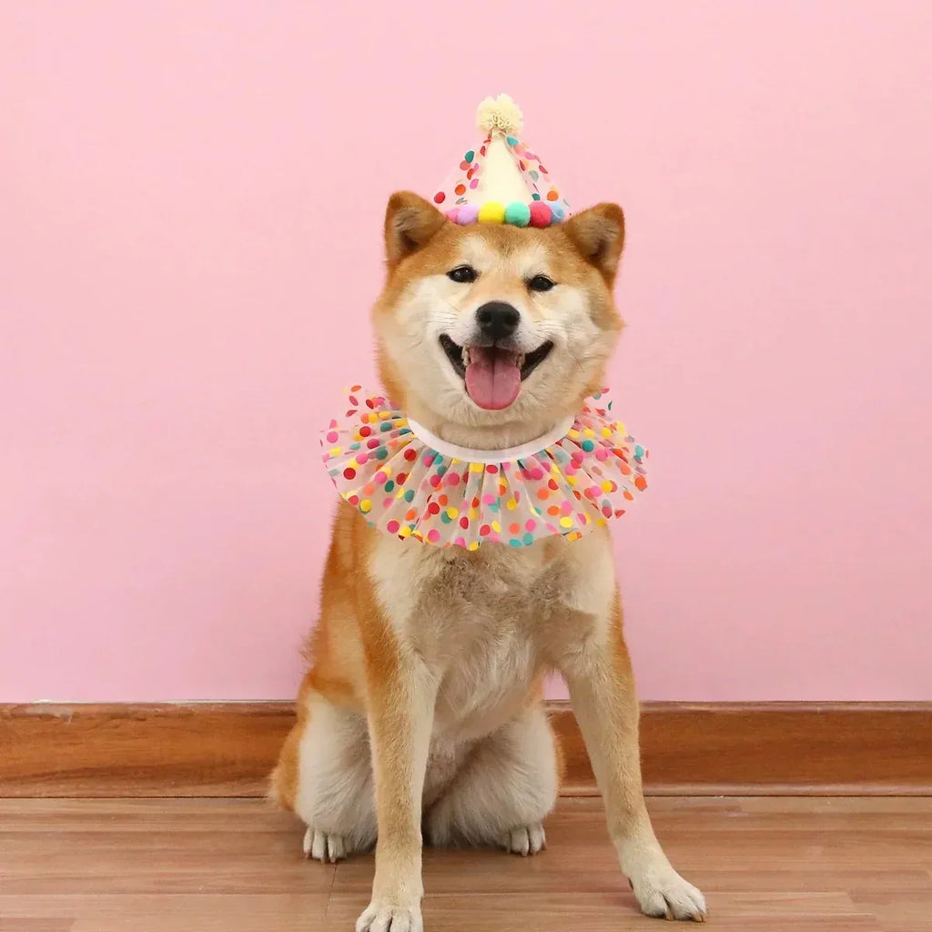 Dog Cat Birthday Dress Bib Felt Hat Party Supplies Drool Towel