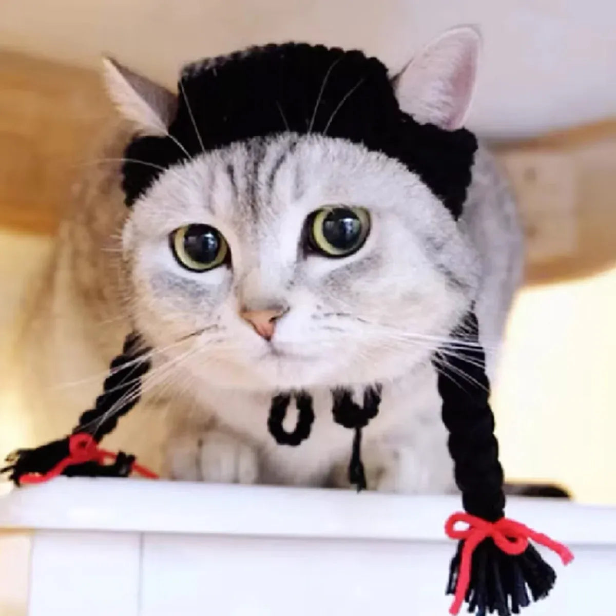 Cat Headwear Handmade Braid Hat Cat Wig Hat Cat Hair Accessory Pet