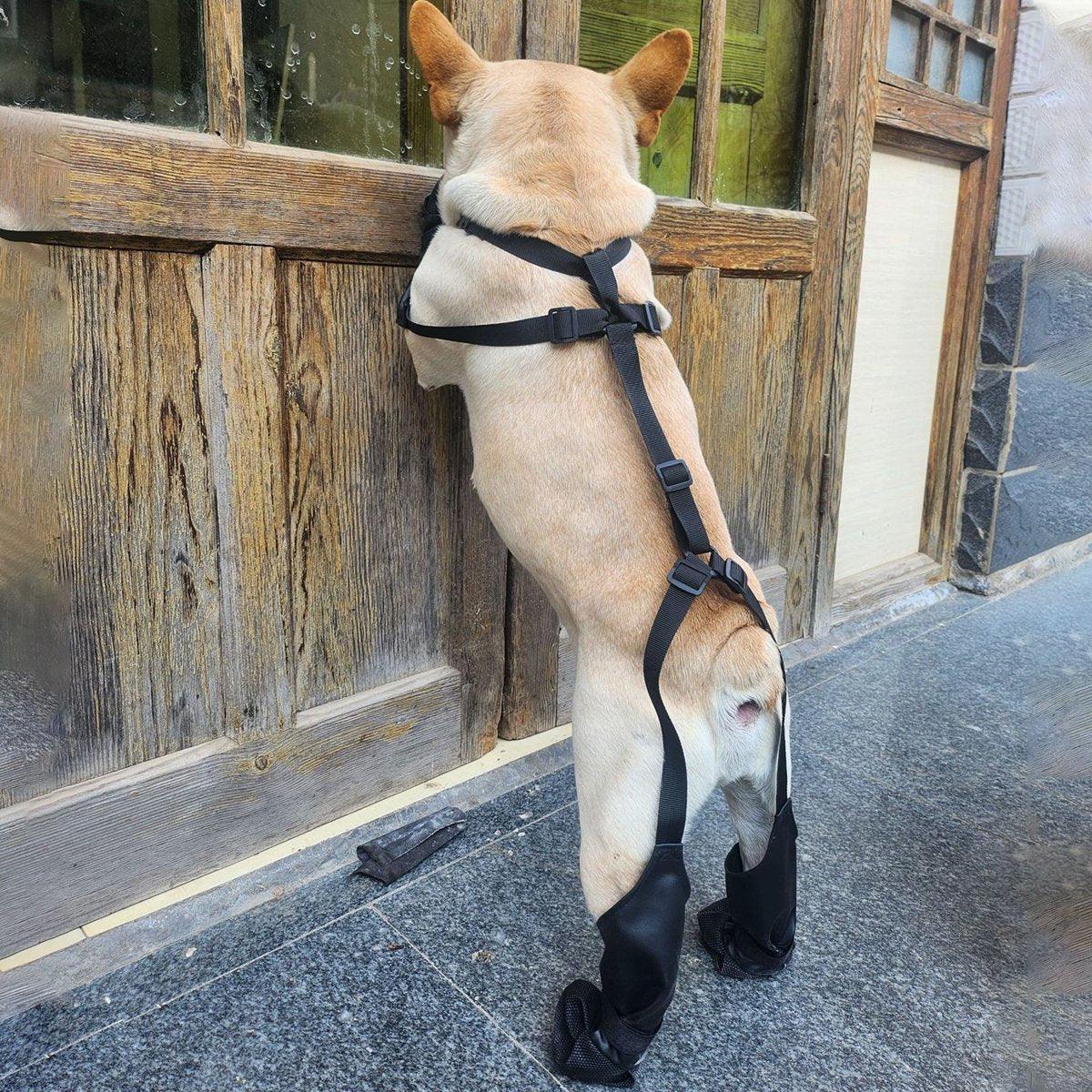 Dog Adjustable Suspender Boots Waterproof Dog Shoes Anti-Slip Pet Paw