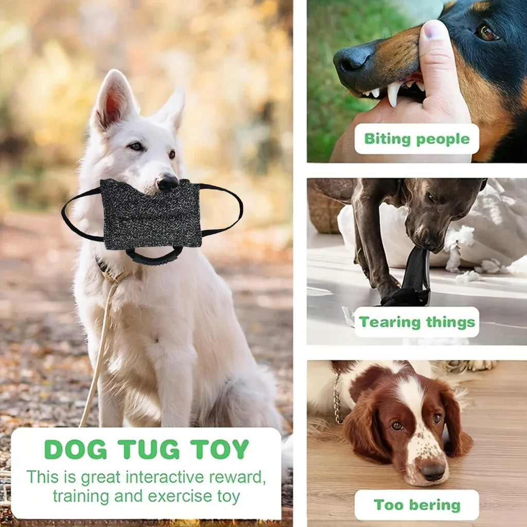 Pet Chew Pillow Tug Toy Durable Material Interactive Training Toy