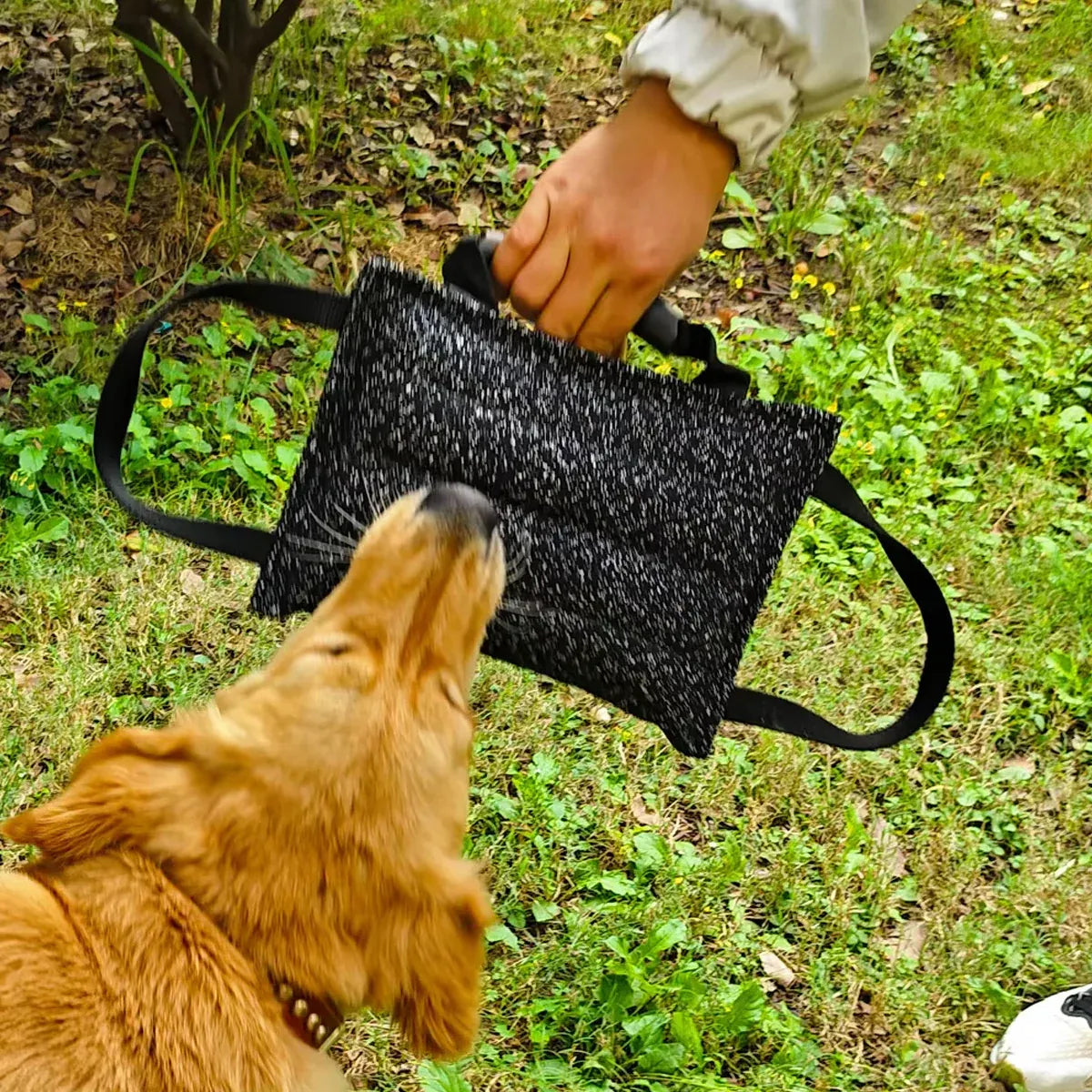 Pet Chew Pillow Tug Toy Durable Material Interactive Training Toy