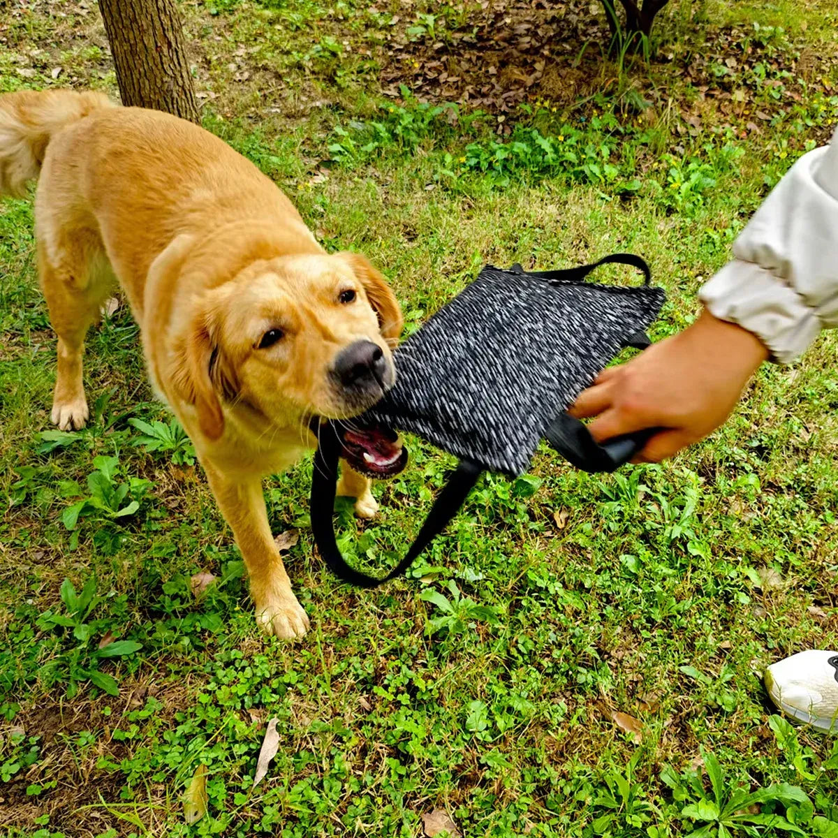 Pet Chew Pillow Tug Toy Durable Material Interactive Training Toy