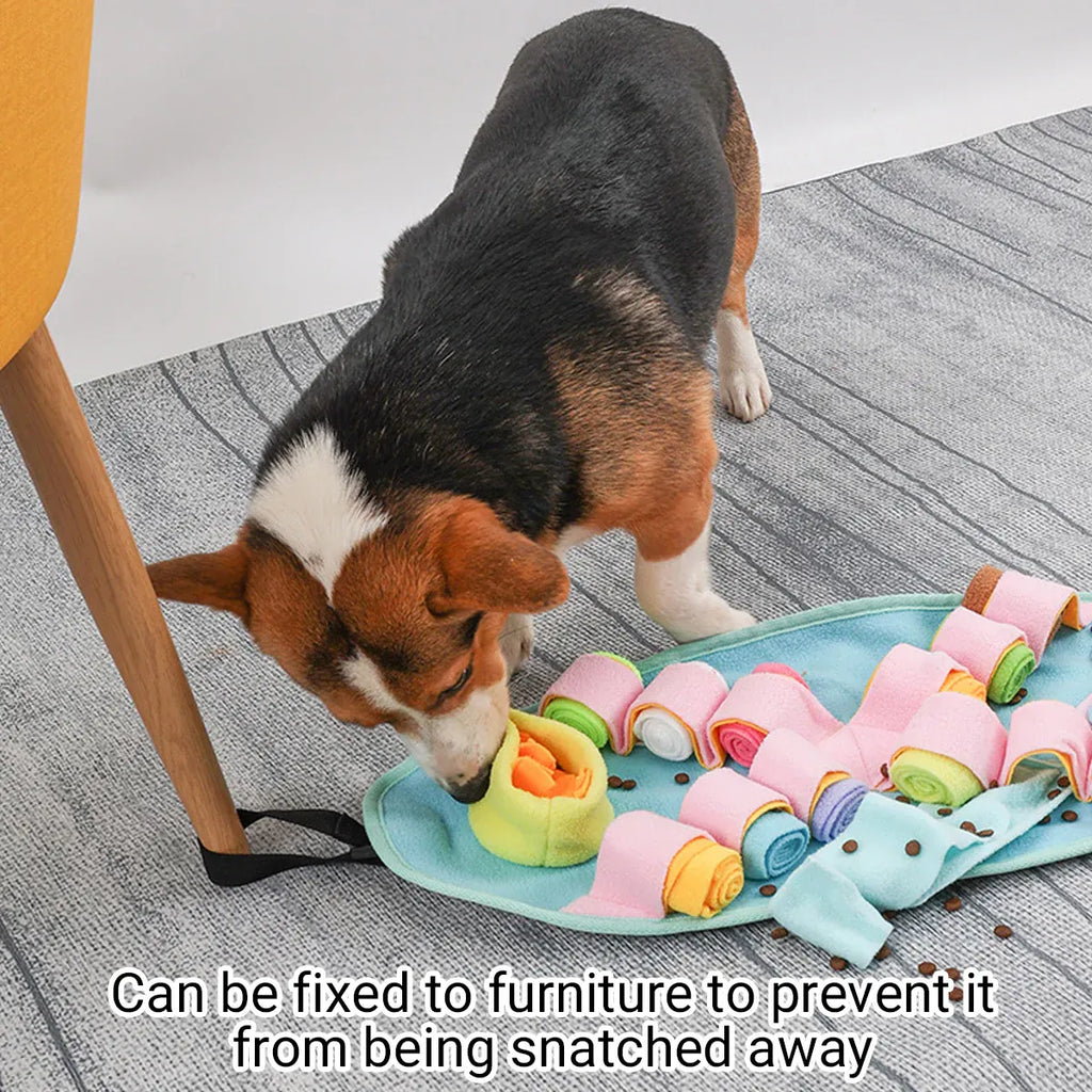 Interactive Dog Snuffle Mat Puzzle Toy Training Pad