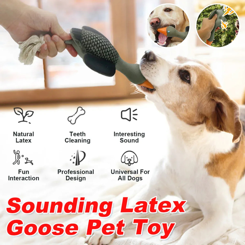 Pet Dog Chew Toy Interactive Sound Making Molar Training Toy Teeth