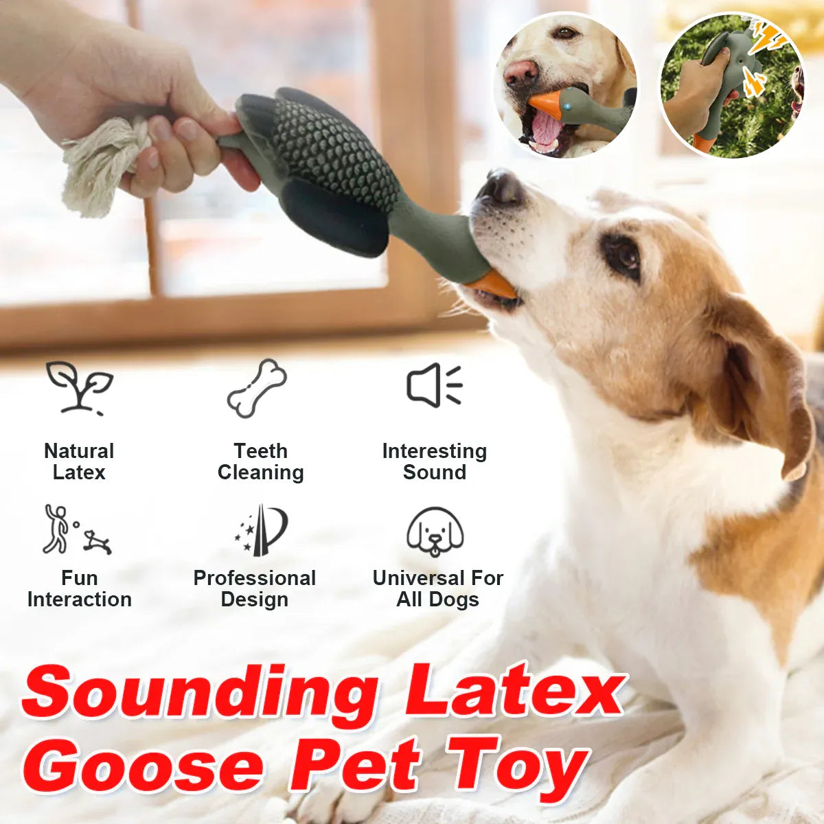 Pet Dog Chew Toy Interactive Sound Making Molar Training Toy Teeth