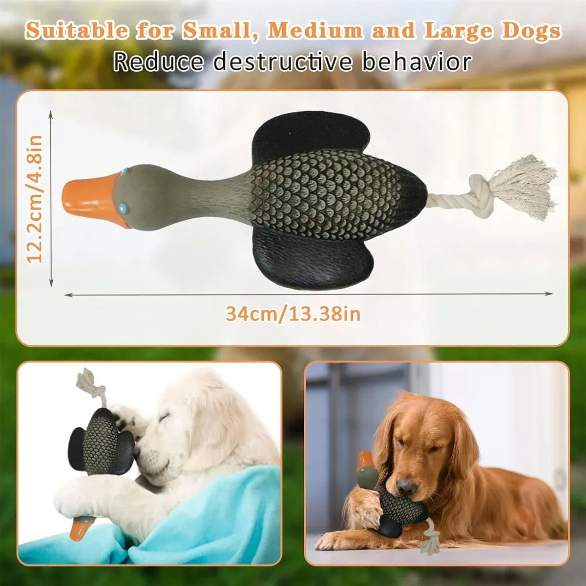 Pet Dog Chew Toy Interactive Sound Making Molar Training Toy Teeth