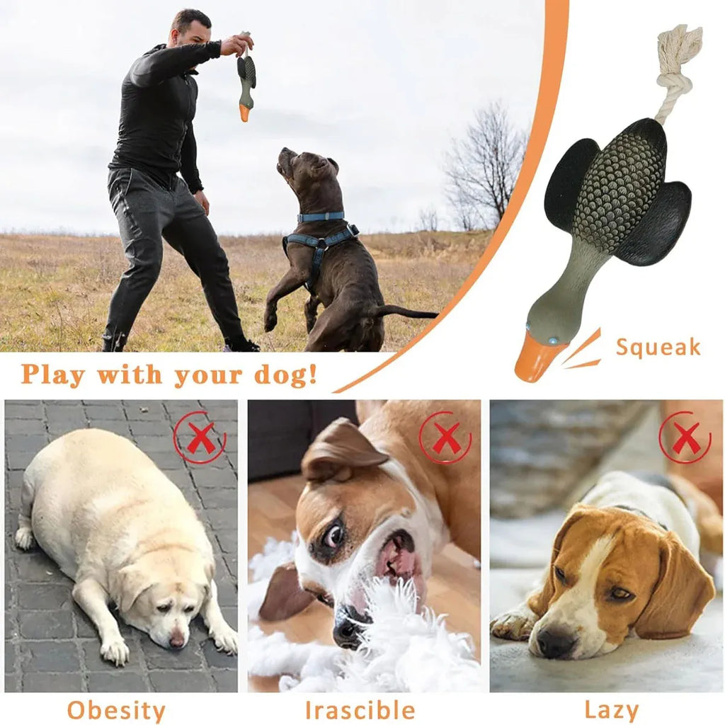 Pet Dog Chew Toy Interactive Sound Making Molar Training Toy Teeth