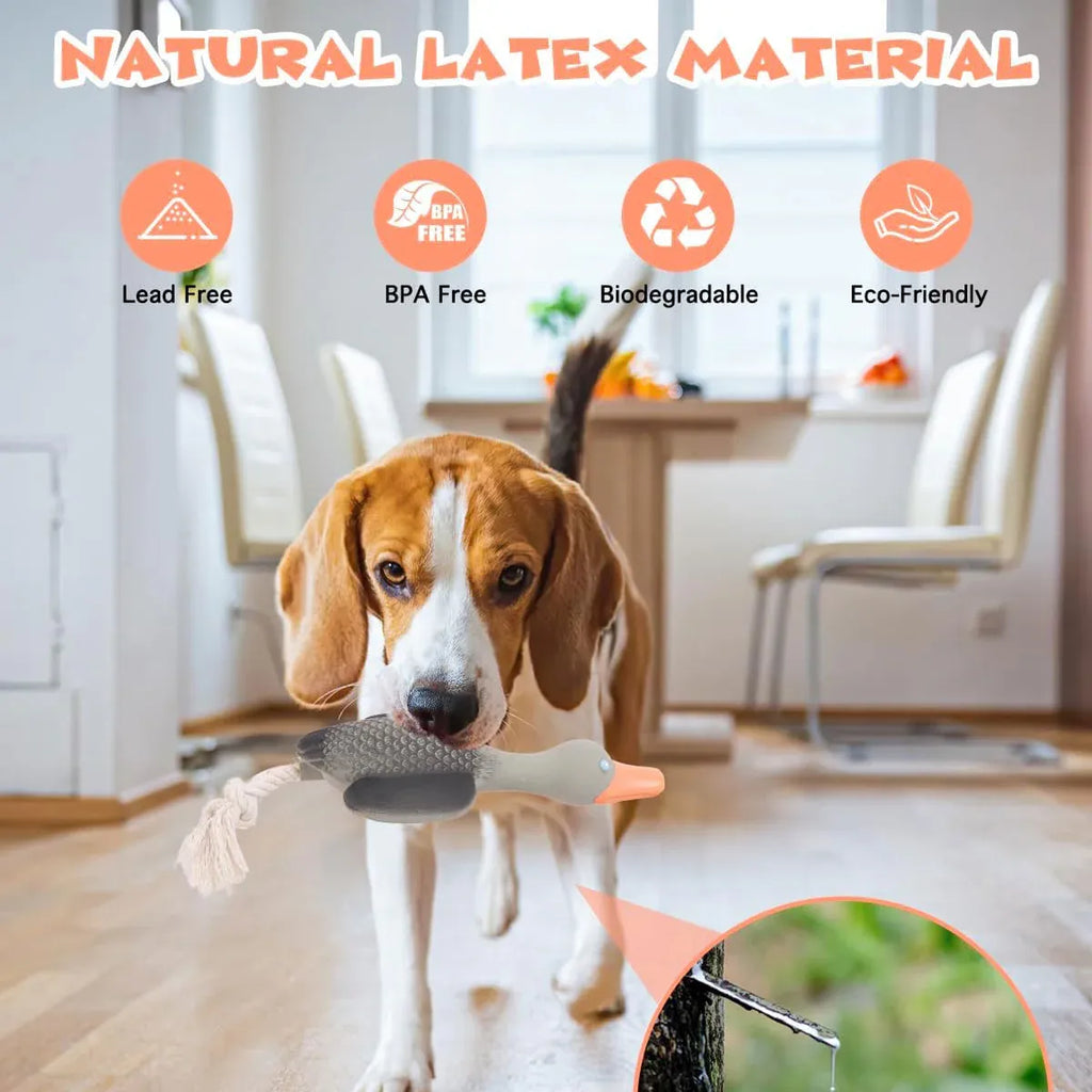Pet Dog Chew Toy Interactive Sound Making Molar Training Toy Teeth
