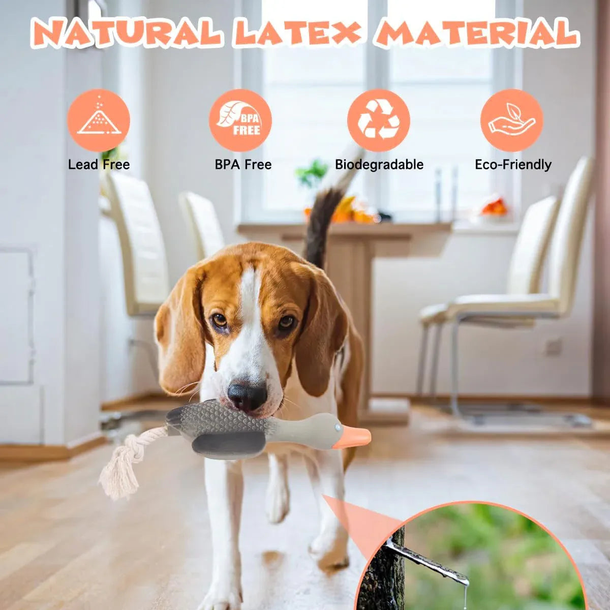 Pet Dog Chew Toy Interactive Sound Making Molar Training Toy Teeth