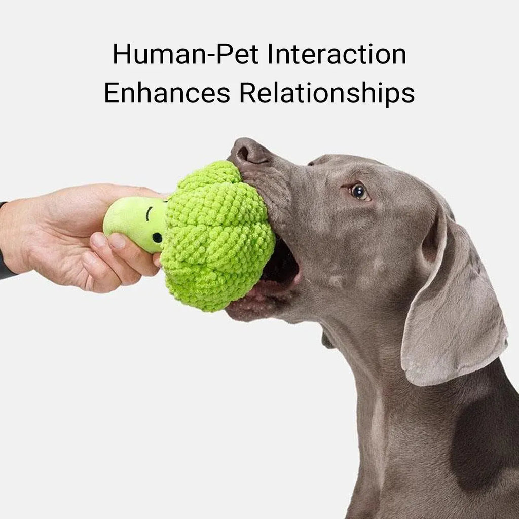 Pet Plush Squeaky Chew Toy For Dogs Cats Chew Resistant Boredom