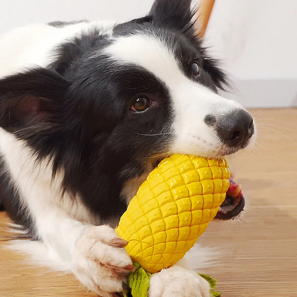 Dog Rubber Pineapple Toy Bite Molar Tooth Interactive Sound Resistant