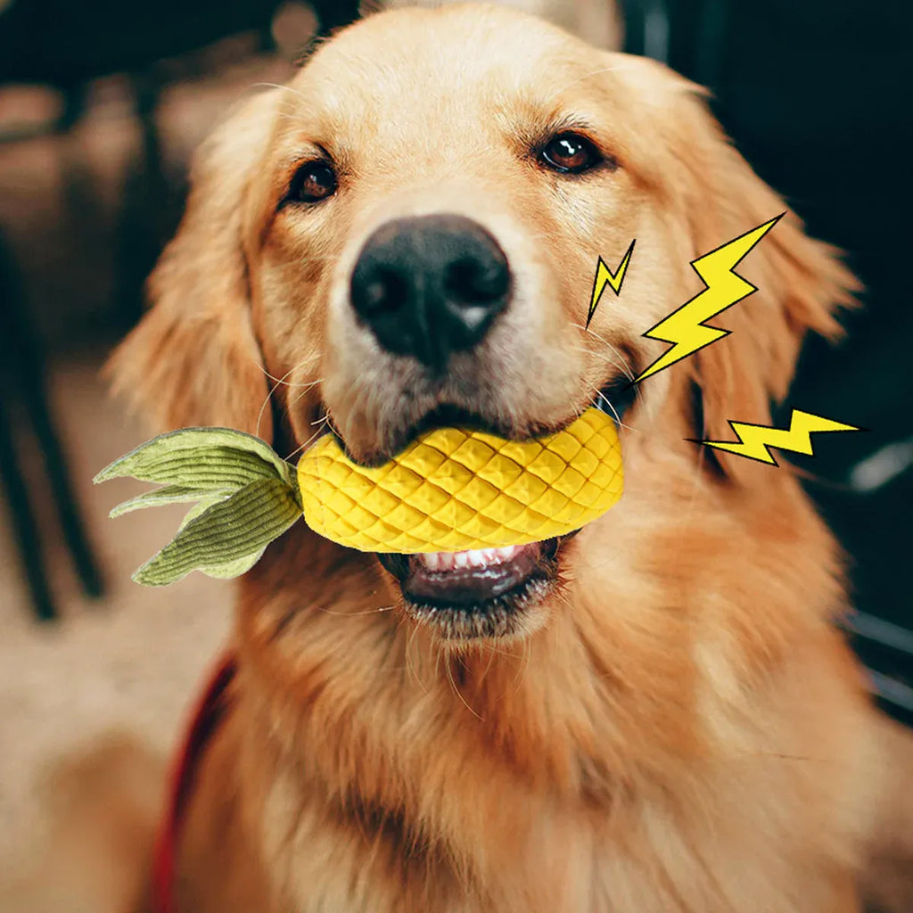 Dog Rubber Pineapple Toy Bite Molar Tooth Interactive Sound Resistant
