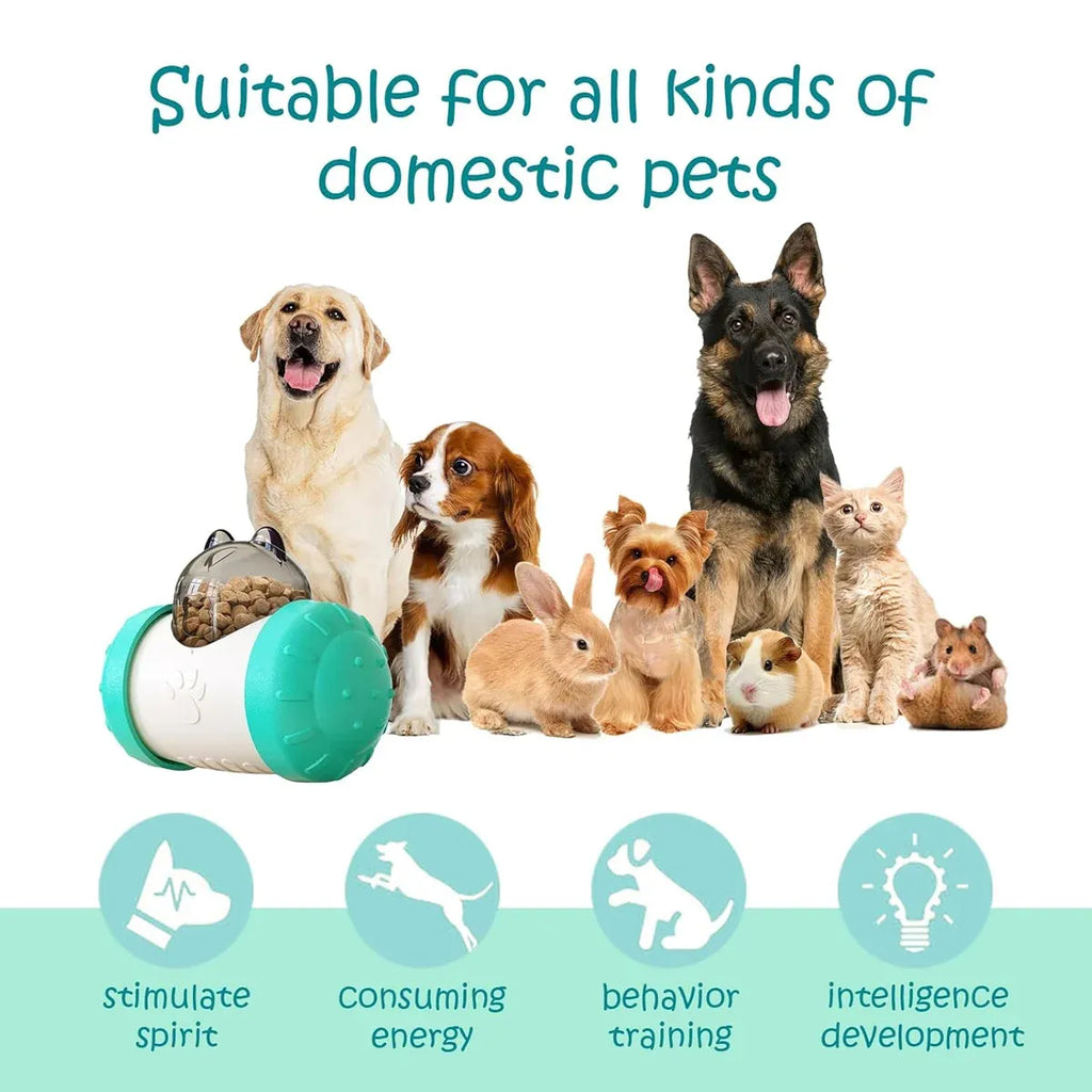 Pet Swing Dispensing Toy for Dogs Chew Resistant Interactive Slow
