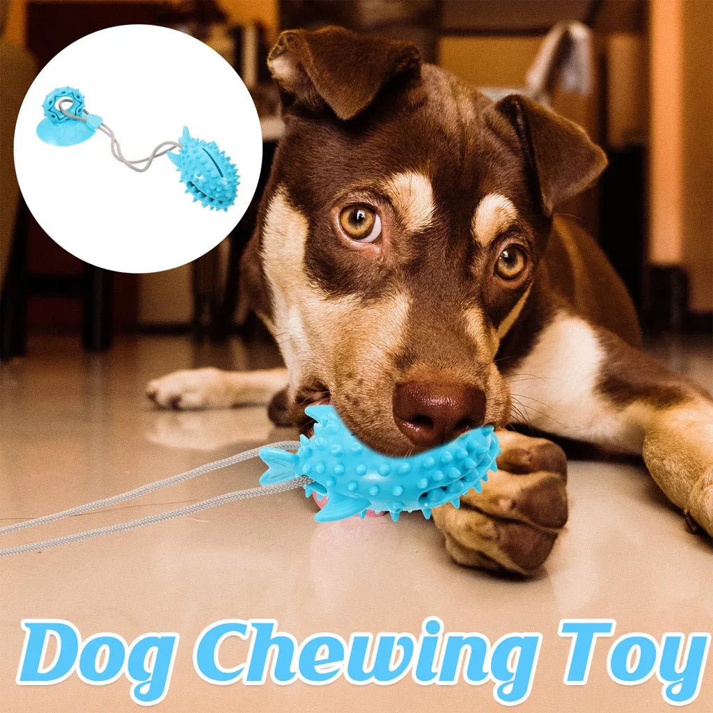 Dog Chew Toys Durable Non Toxic TPR Material