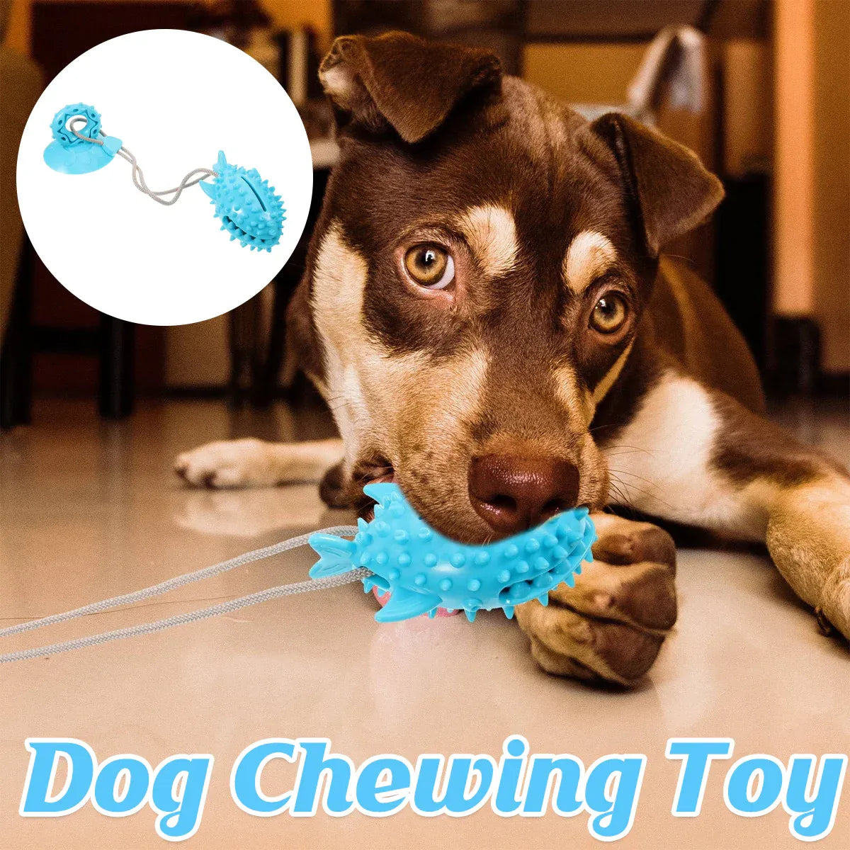 Dog Chew Toys Durable Non Toxic TPR Material